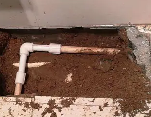 徐汇测漏水哪家好